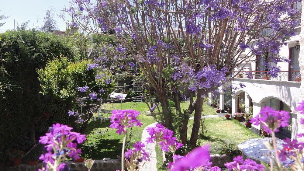 Hotel Boutique Villa Elisa Arequipa Exteriér fotografie